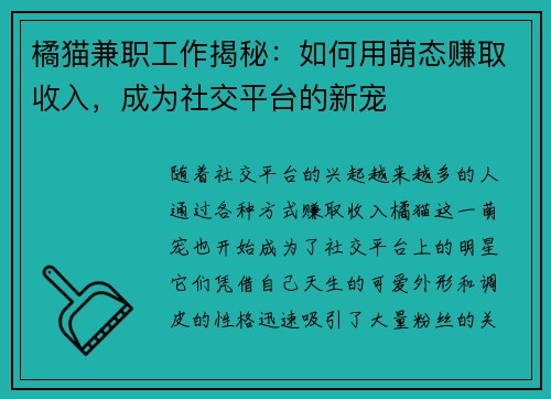 橘猫兼职工作揭秘：如何用萌态赚取收入，成为社交平台的新宠