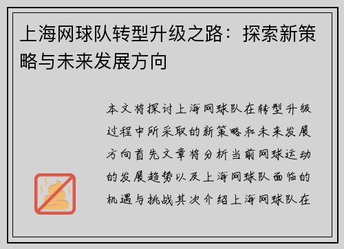 上海网球队转型升级之路：探索新策略与未来发展方向