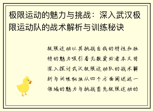 极限运动的魅力与挑战：深入武汉极限运动队的战术解析与训练秘诀
