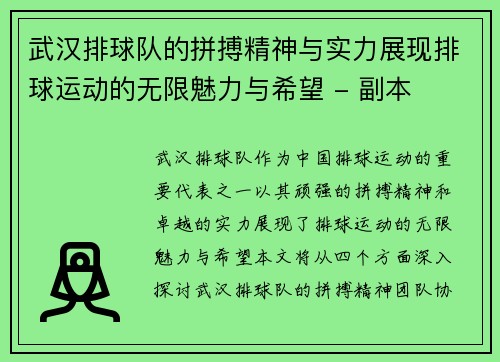 武汉排球队的拼搏精神与实力展现排球运动的无限魅力与希望 - 副本