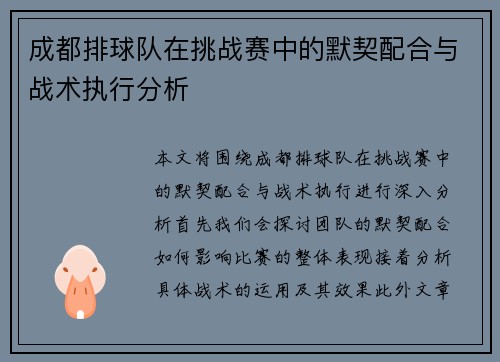 成都排球队在挑战赛中的默契配合与战术执行分析
